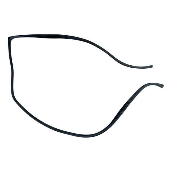 Borracha Porta Traseira Esquerda Kia Soul 1.6 2012