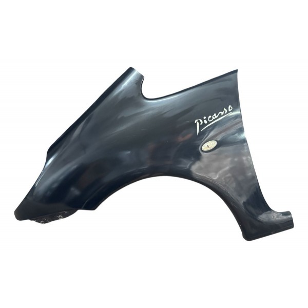 Paralama Lado Esquerdo Citroen Xsara Picasso 2011 Usado