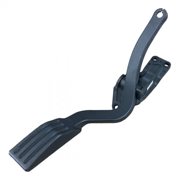 Pedal Acelerador Ecosport 03/12 - Fiesta 02/14 Original
