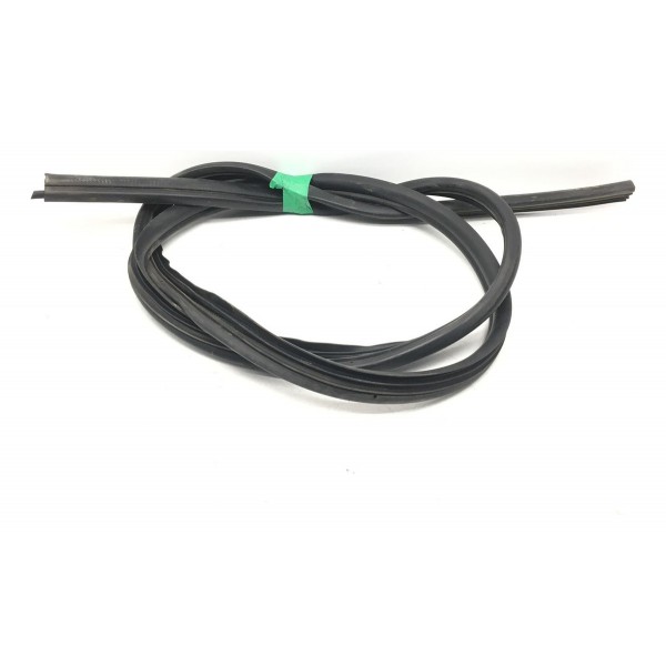 Borracha Porta Dianteira Esquerda Clio 2007 Original