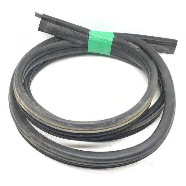 Borracha Porta Traseira Esquerda Renault Clio Sedan 2007