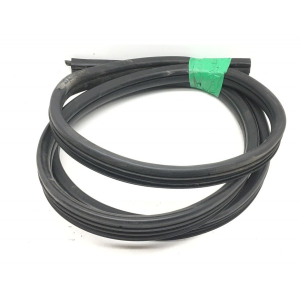 Borracha Porta Dianteira Direita Clio 2007 - Original