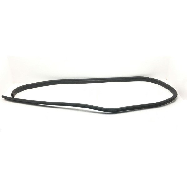 Borracha Porta Traseira Direita Focus 2009 2010 2011 2013