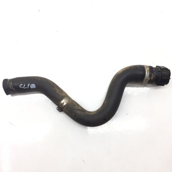 Mangueira Superior Radiador Clio 1.0 16v 2003 Original