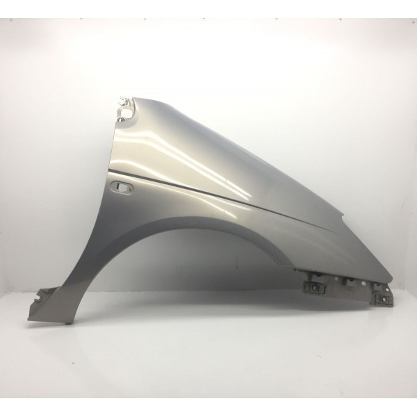 Para-lama Dianteiro Direito Scenic 2001 / 2007 Original